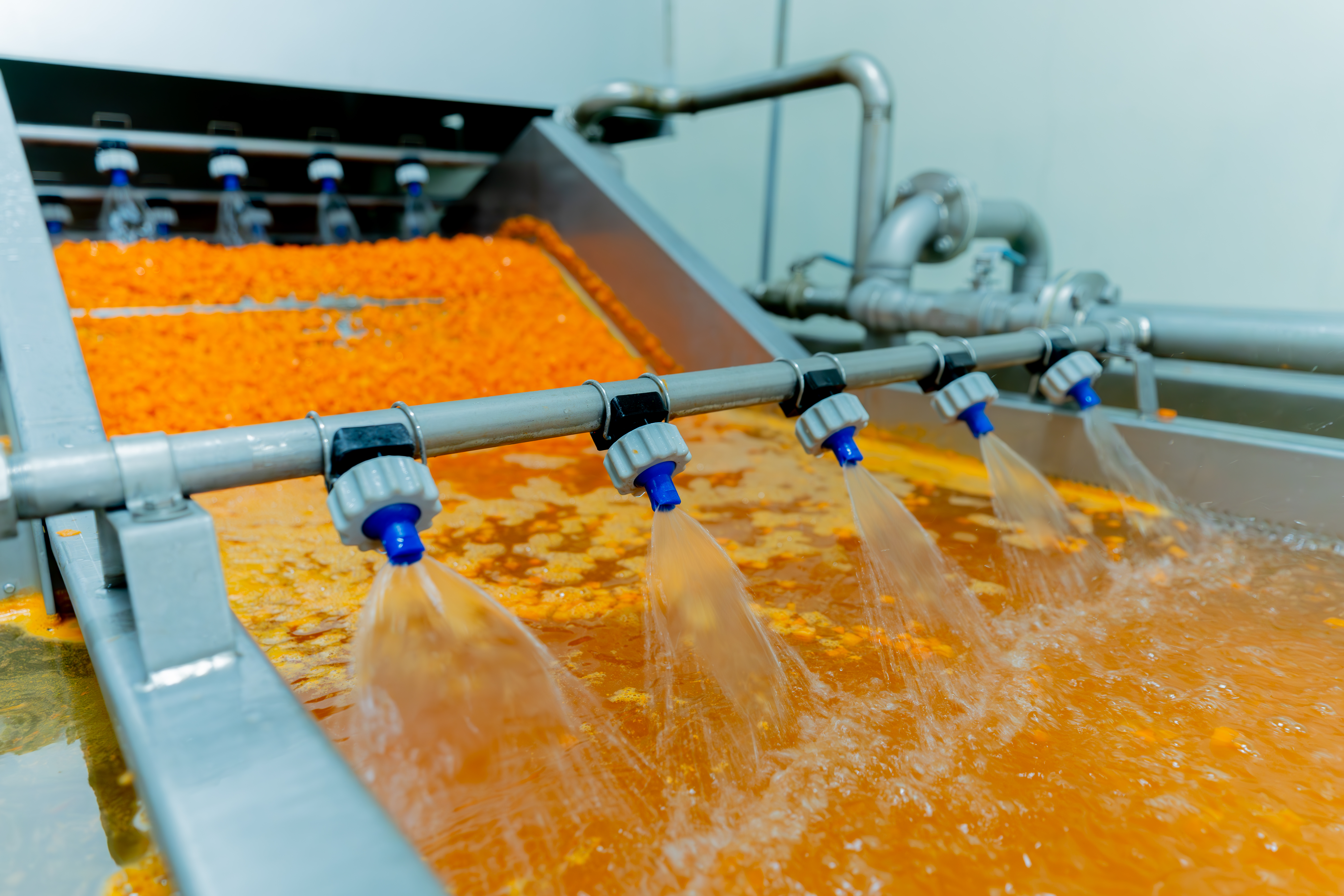 圖 經過蒸氣殺菁後利用冰水降溫