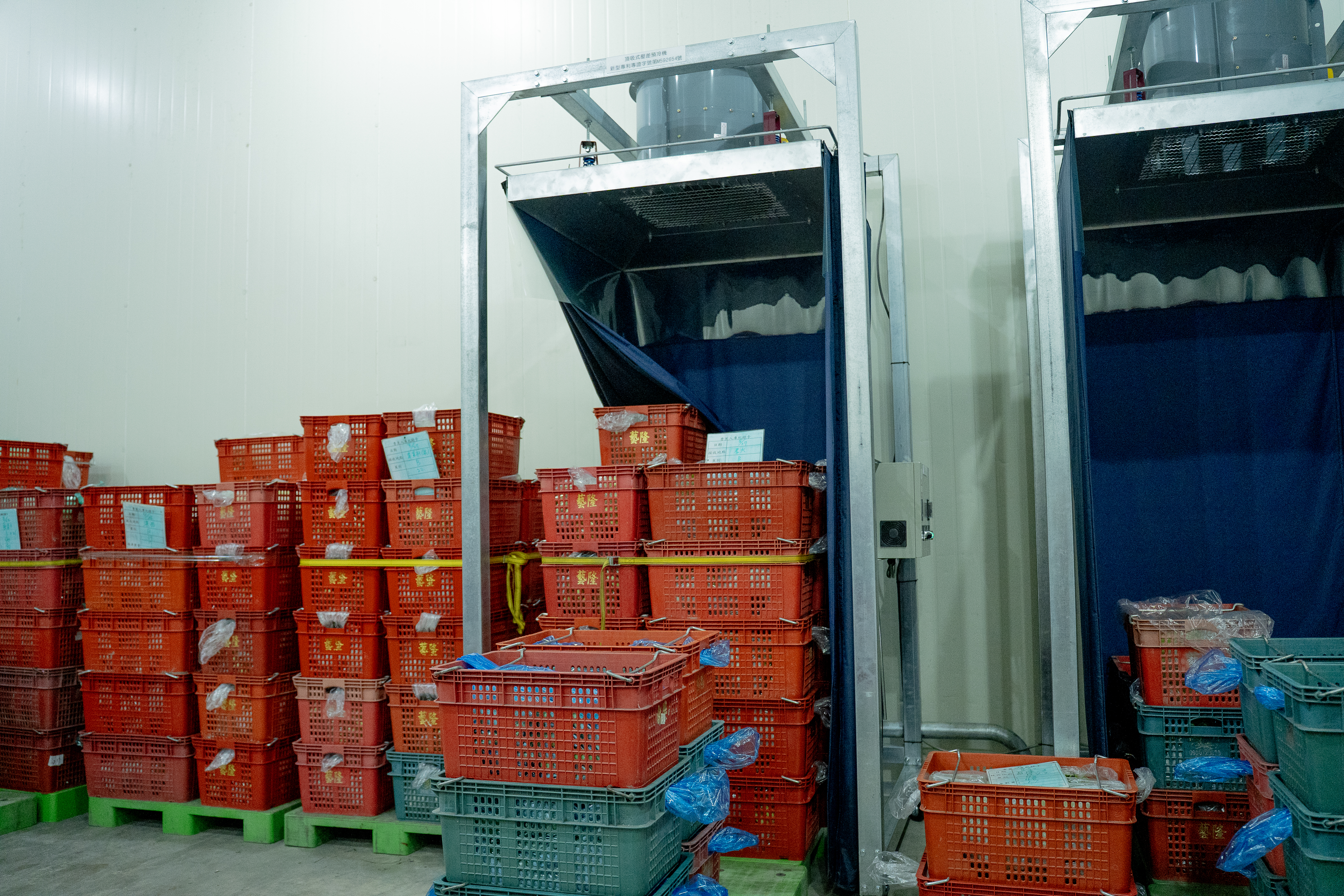 圖 頂吸式壓差預冷有助於快速降低果心溫度